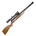 Air Rifles